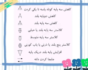 naghshe2