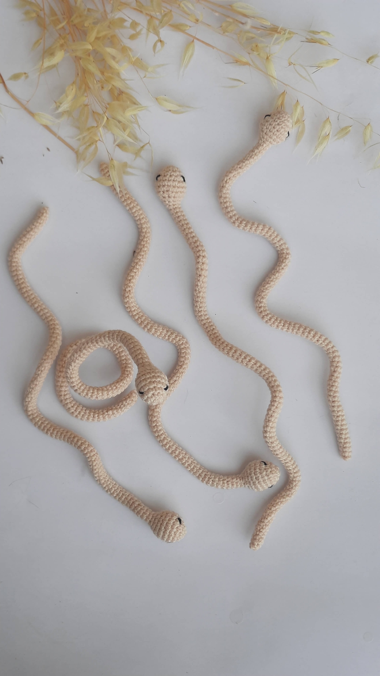 Mar1 scaled